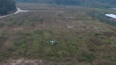 常鋒油動多旋翼植保無人機30KG級 飛行視頻